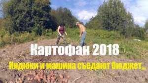 Машина и индюки сжирают весь бюджет // Форсируем картофан - урожай 2018