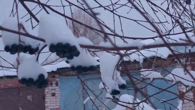 Зимняя сказка. Декабрь смотреть онлайн