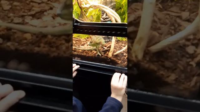 31 октября 2020 г.(4) смотреть онлайн