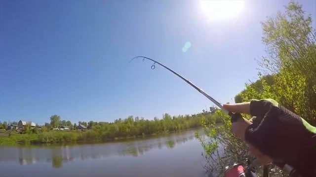 ЛУЧШАЯ В МИРЕ КАТУШКА для спиннинга? Shimano 18 STELLA C2000SHG. Обзор, первый опыт рыбалок. смотреть онлайн