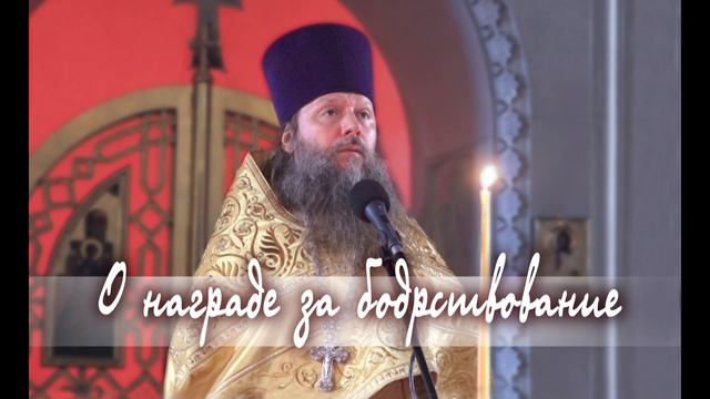 "О награде за бодрствование". 020319. смотреть онлайн