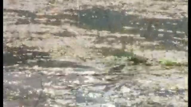 Древний косметический самомассаж Лицо без морщин Р 2005 обучающее видео смотреть онлайн