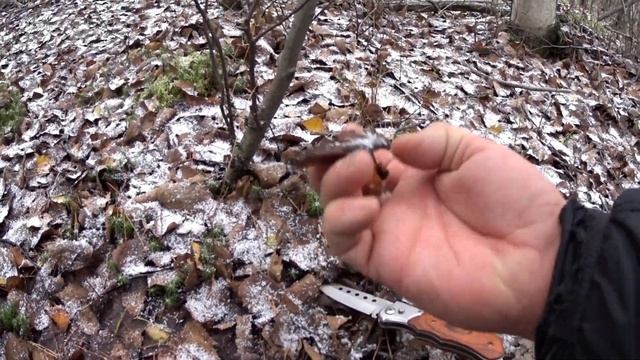 Поход за грибами октябрь 2018 / Белый гриб / Грибы Пермский край / Закрытие грибного сезона смотреть онлайн