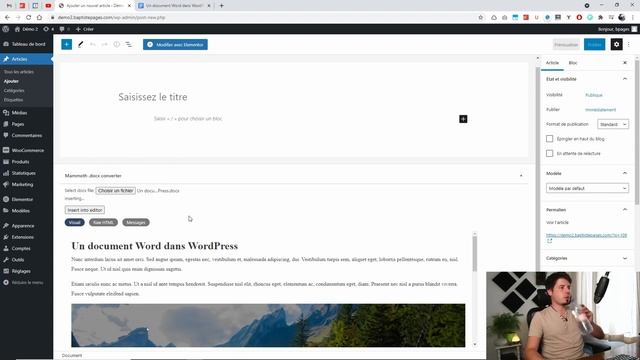Comment importer un document Word .docx dans WordPress ? смотреть онлайн