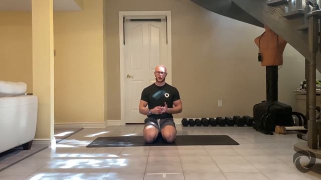 Primal Salutations - Yoga + Animal Flow смотреть онлайн