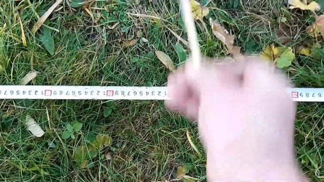 5 копеек 1931 Nokta Makro Anfibio Multi  катушка KARMA тест