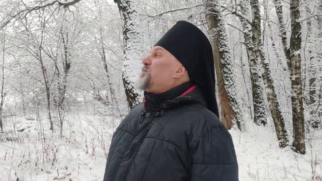 Любовь Христа безмерно велика! Начала нет, и льется как река! #АрхиепископСергейЖуравлев #МирВсем смотреть онлайн