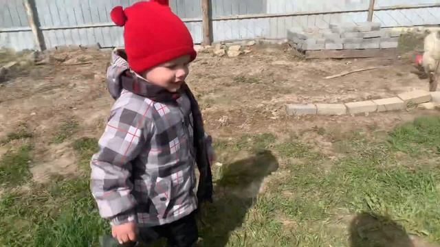 Алабай Чёрная Роза ? Хорошое детство￼ ☺️ смотреть онлайн