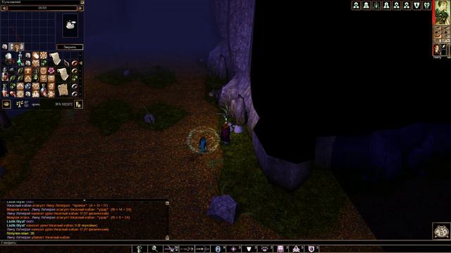 Neverwinter Nights Лес Невервинтер. Пропавшие друиды. Дух леса. Чаща.