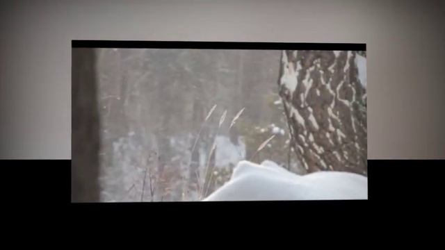 Лощилов Евгений. Снежный вальс ( Е. Лощилов - Ю. Рассветов) смотреть онлайн