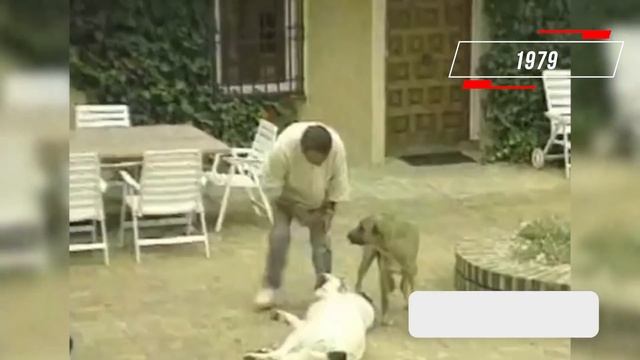 JOSE LUIS PERALES, Y LA HISTORIA DE UN ENCARGO DE JULIO IGLESIAS QUE SE CONVIRTIÓ EN ÉXITO ROTUNDO смотреть онлайн