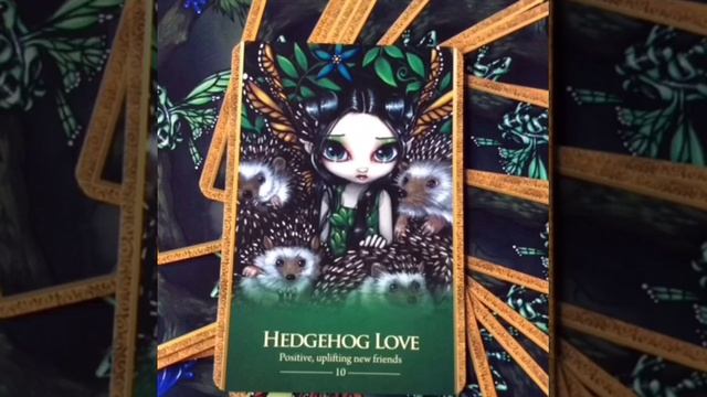 Learn Oracle Cards - Card 10 Hedgehog Love Oracle Of The Shapeshifters смотреть онлайн