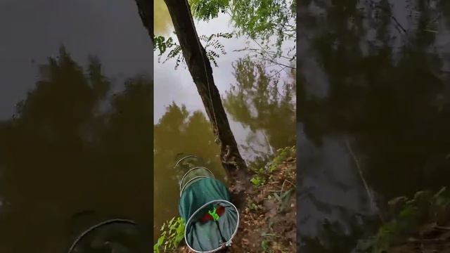 Динская клёвое место смотреть онлайн