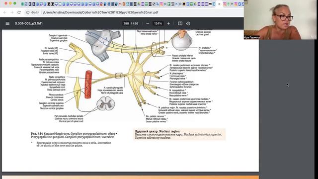 Головная боль!Прямая трансляция! смотреть онлайн