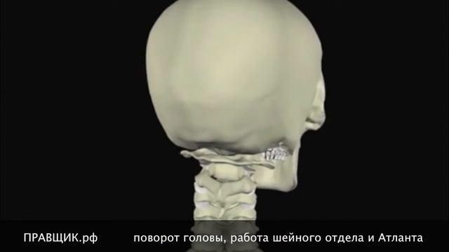 Поворот головы, работа шейного отдела и Атланта смотреть онлайн