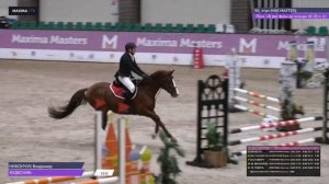 Просто соревнования по конкуру.