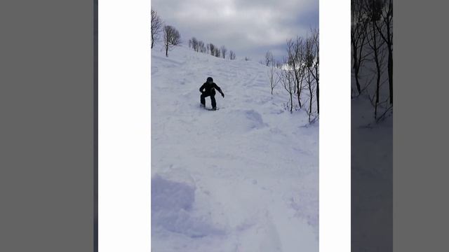 РОЗА ХУТОР 2020