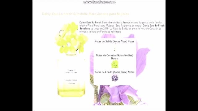 Novedades de perfumes 2019 - SUB смотреть онлайн