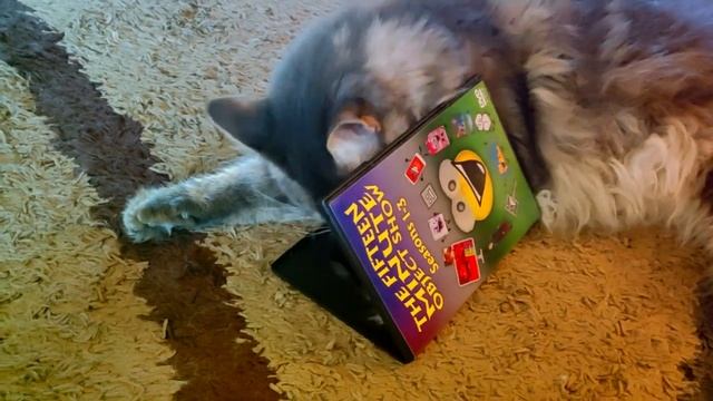 The Fifteen Minute Object Show ON DVD!! (+ TPOSP 2 Sneak Peek!) смотреть онлайн