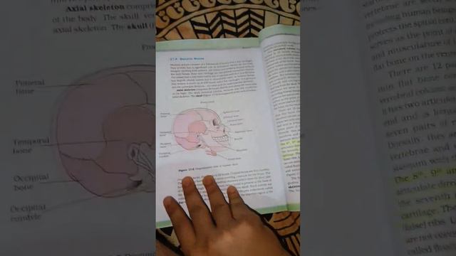 locomotion and movements most imp topics ! смотреть онлайн