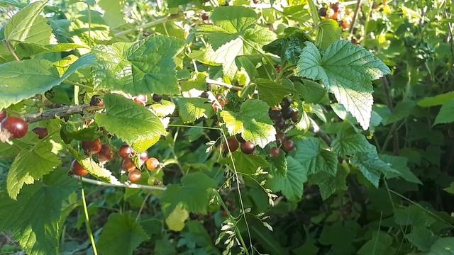 Стихия-Вода, источник жизни! смотреть онлайн