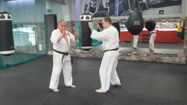 Советы по технике карате от Александра Вощинина смотреть онлайн