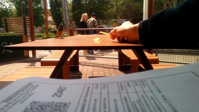 Мак кривой рог