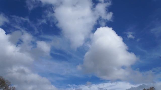 Part 2 Sony Alpha Nex C3 Video Test смотреть онлайн