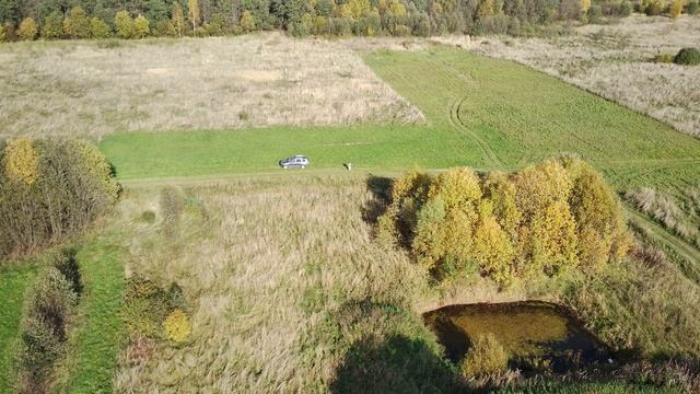 FIMI X8 SE 2020 Углич - Ярославль д. Варегово Варегово болото смотреть онлайн