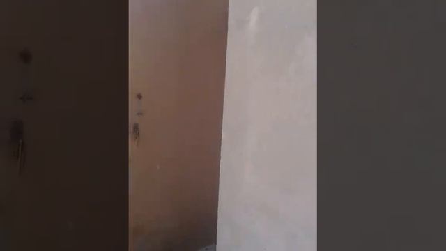 Дом в Пионерском в лесу смотреть онлайн