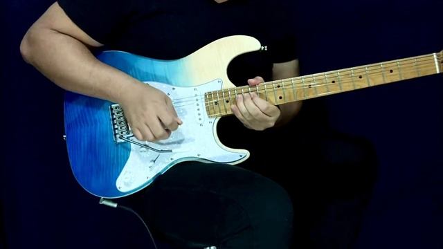 Time Guitar Solo - Pink Floyd  The Dark Side Of The Moon  David Gilmour Fuzz Tone