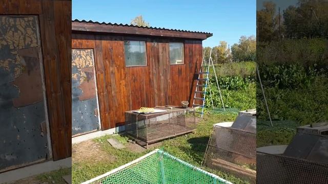 лучшая бесплатная краска по дереву. смотреть онлайн