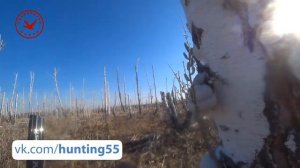 Весенняя охота с махокрылом 2023