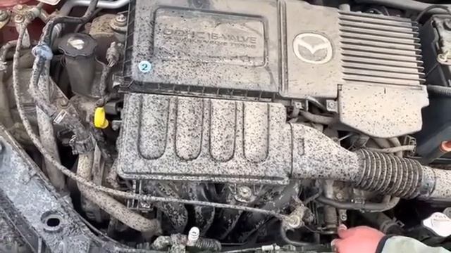 Mazda, Demio, DY3W , ZJ VE , FNF619090C, Красный AE3, 2004, AI 882 смотреть онлайн