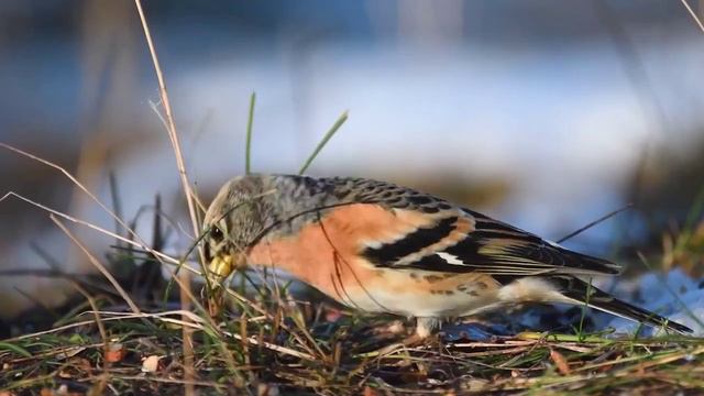 Всем доброго утра и хорошего дня! смотреть онлайн