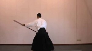 Aikido instruction; 13 jo kata