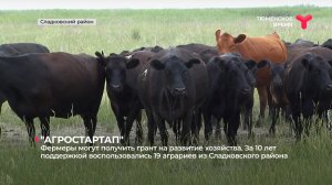 Фермеры могут получить грант на развитие хозяйства