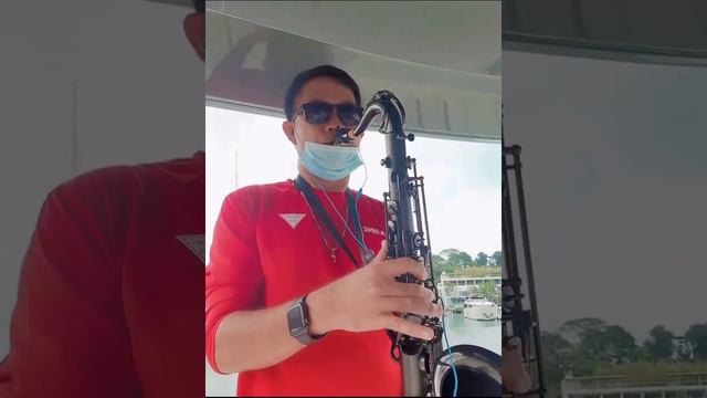 The moon represents my heart - Tenor Sax cover смотреть онлайн