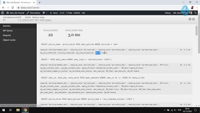 39010 - Curso Debug WordPress - Debug Bar смотреть онлайн