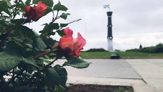 Не скрывай свои эмоции /многие говорят ,да ? смотреть онлайн