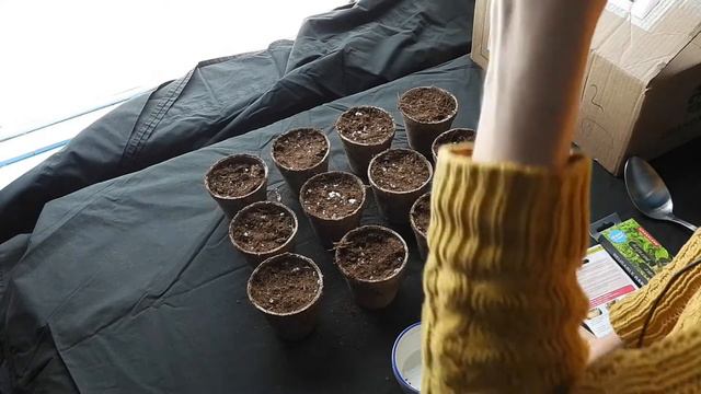 Cours de jardinage Québec🌱 Comment Semer les Pervenches de Madagascar [FR QUÉBEC + ENG SUBTITLES] смотреть онлайн