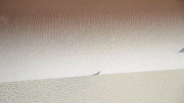 Техас 82 Белорусские обои Бумажные рельефные тисненые, 0.53 м смотреть онлайн