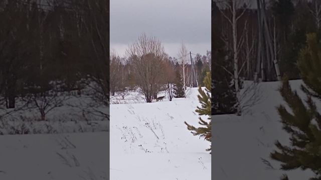 три прихлопа два притопа смотреть онлайн