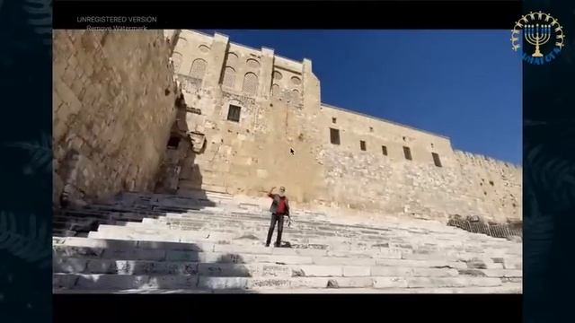 ЦИНАГОГА. Отвечаем на слова Исход субботы 4 марта. Зачем человеку имя? смотреть онлайн