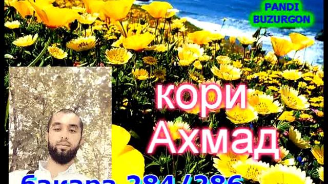 сура бакара- кори Ахмад смотреть онлайн
