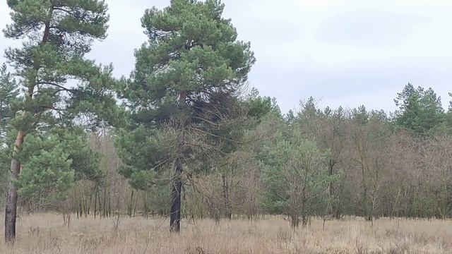 10 апреля 2021 Родительская суббота четвертой седмицы Великого Поста. Что можно и нельзя делать. смотреть онлайн