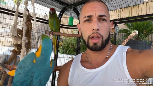 ONLYFANS... THE TRUTH | Kimora Blac