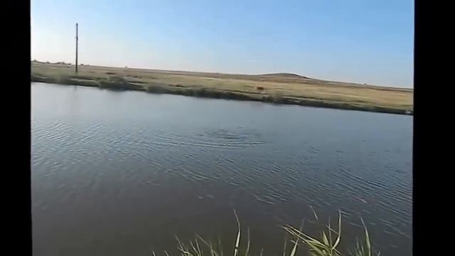рыбалка под Тищенкой смотреть онлайн
