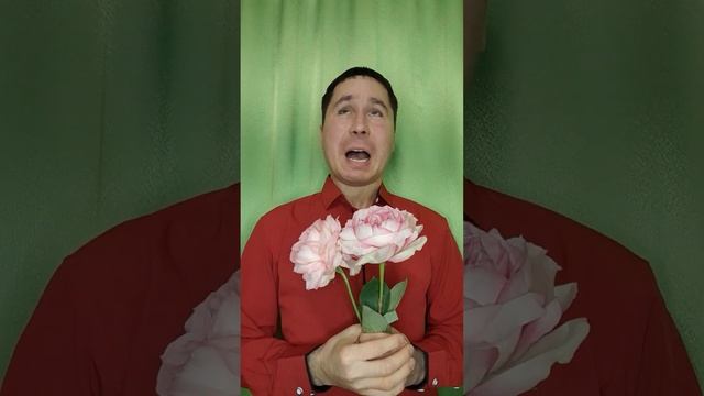 ПОХОРОНЫ ВРАГОВ! Александр Пичуев. #shorts смотреть онлайн