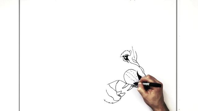 How To Draw a Lion (Side Profile) | Step By Step смотреть онлайн